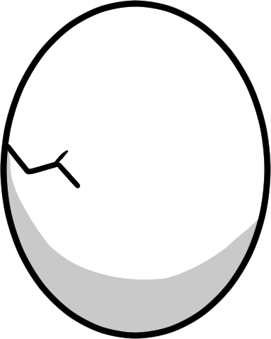 An egg with a small crack
