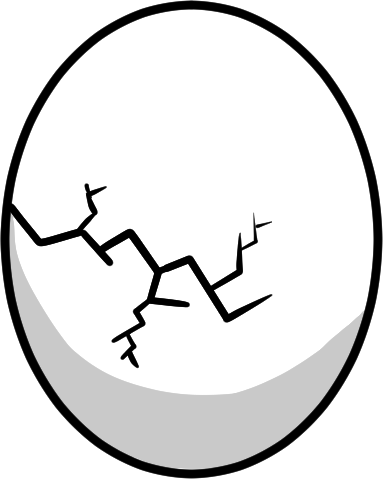 An egg with a large crack